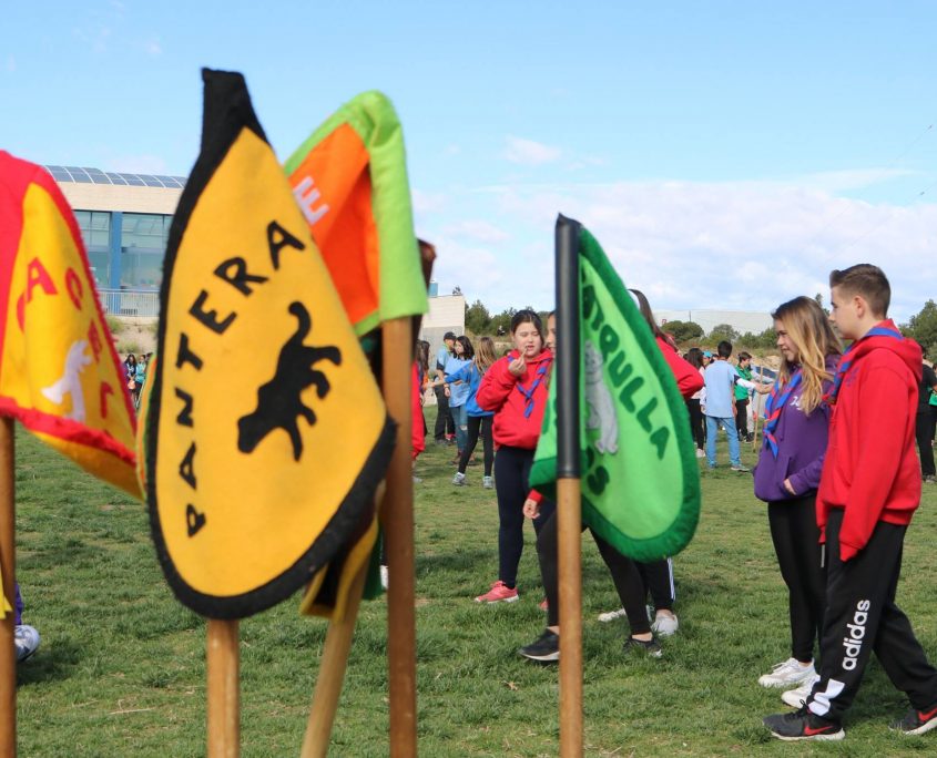 Pincha en la imagen para acceder a las bases.